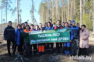 Учащиеся лицея присоединились к акции «Неделя леса»