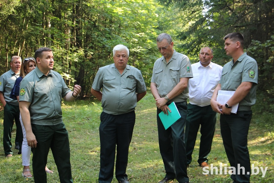 В Сморгонском опытном лесхозе прошел республиканский семинар