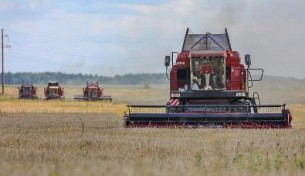 
Белорусские аграрии намолотили более 5,8 млн тонн зерна
